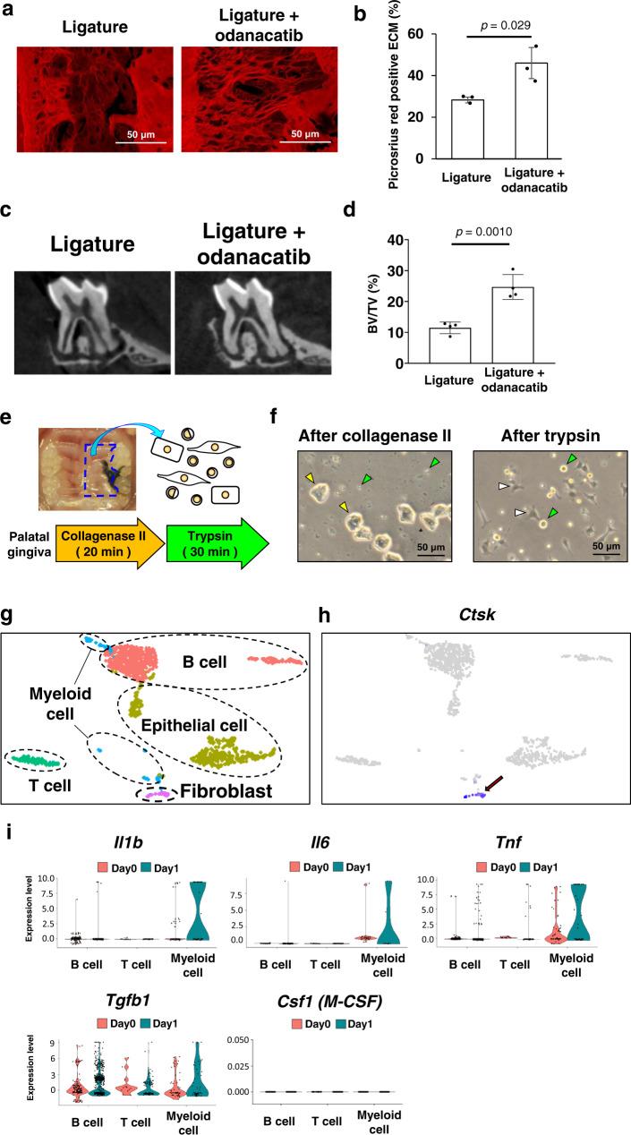 https://cdn.ncbi.nlm.nih.gov/pmc/blobs/e918/9474870/d6bd313828b5/42003_2022_3896_Fig2_HTML.jpg