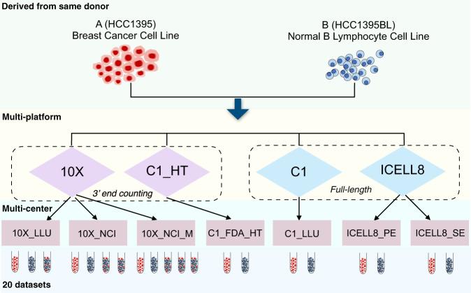 https://cdn.ncbi.nlm.nih.gov/pmc/blobs/e919/7854649/f1970435eece/41597_2021_809_Fig1_HTML.jpg