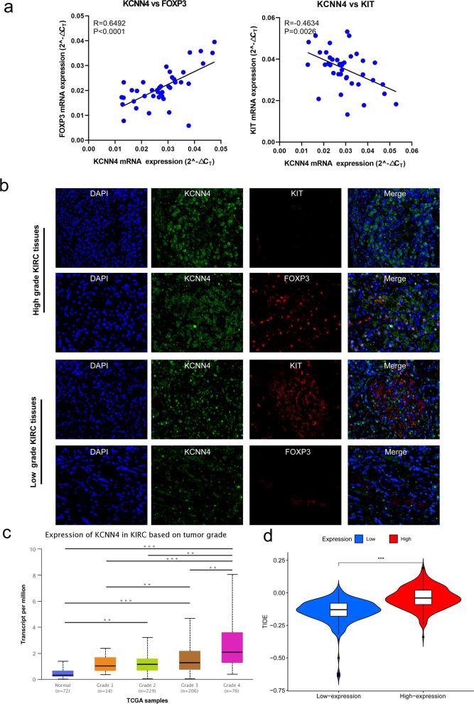 https://cdn.ncbi.nlm.nih.gov/pmc/blobs/e91b/9185981/547a7523b6c8/12935_2022_2626_Fig7_HTML.jpg