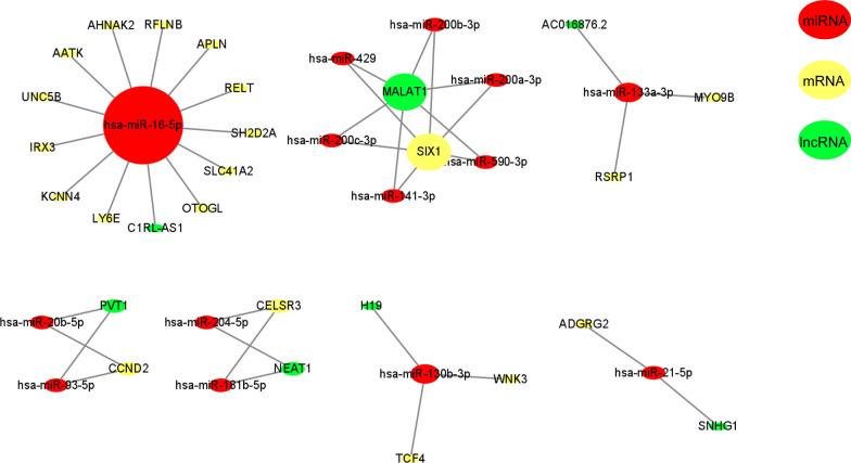 https://cdn.ncbi.nlm.nih.gov/pmc/blobs/e91b/9185981/94312d4f22de/12935_2022_2626_Fig2_HTML.jpg