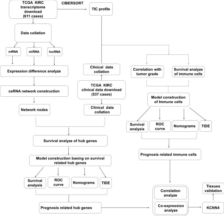 https://cdn.ncbi.nlm.nih.gov/pmc/blobs/e91b/9185981/ba83912f06ab/12935_2022_2626_Fig1_HTML.jpg