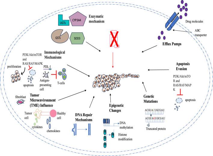 https://cdn.ncbi.nlm.nih.gov/pmc/blobs/e91c/12075138/2d2b44483467/fbioe-13-1548588-g002.jpg