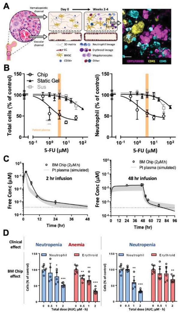 https://cdn.ncbi.nlm.nih.gov/pmc/blobs/e91c/7675190/ec73a202f63a/ADVS-7-2002030-g004.jpg
