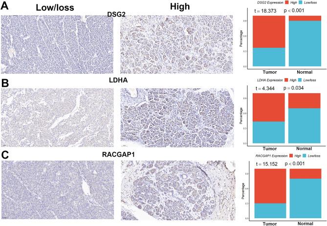 https://cdn.ncbi.nlm.nih.gov/pmc/blobs/e91d/10313686/c6f31de32df4/41598_2023_37836_Fig7_HTML.jpg