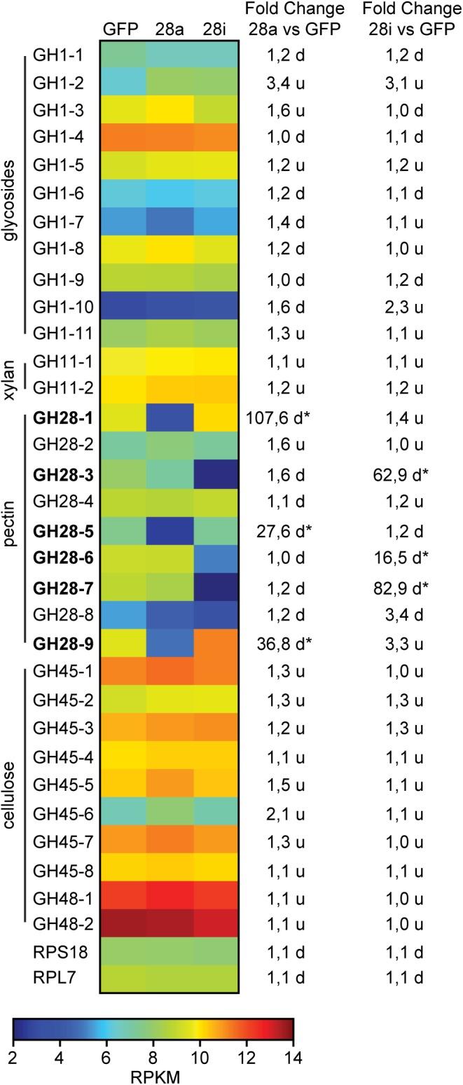 https://cdn.ncbi.nlm.nih.gov/pmc/blobs/e920/6549527/4fa6689b8e5c/fphys-10-00685-g002.jpg