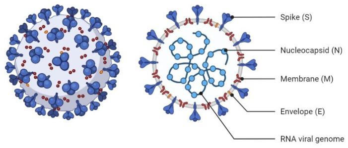 https://cdn.ncbi.nlm.nih.gov/pmc/blobs/e922/9412525/8b68c5076bd3/nanomaterials-12-02868-g001.jpg