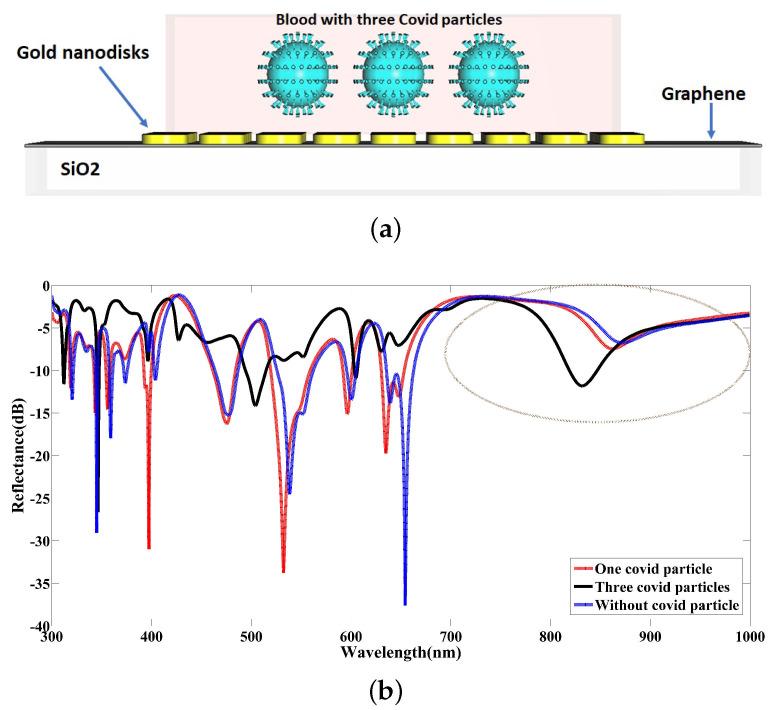https://cdn.ncbi.nlm.nih.gov/pmc/blobs/e922/9412525/d998f19f4ecd/nanomaterials-12-02868-g012.jpg