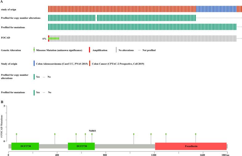 https://cdn.ncbi.nlm.nih.gov/pmc/blobs/e923/9528151/d3edabc99e86/12967_2022_3645_Fig5_HTML.jpg