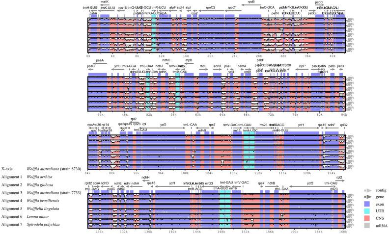 https://cdn.ncbi.nlm.nih.gov/pmc/blobs/e924/10928178/a3a7859d052b/41598_2024_56394_Fig5_HTML.jpg