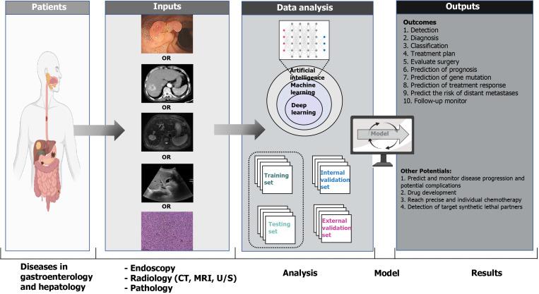 https://cdn.ncbi.nlm.nih.gov/pmc/blobs/e925/8072192/3643525d1a78/WJG-27-1664-g002.jpg