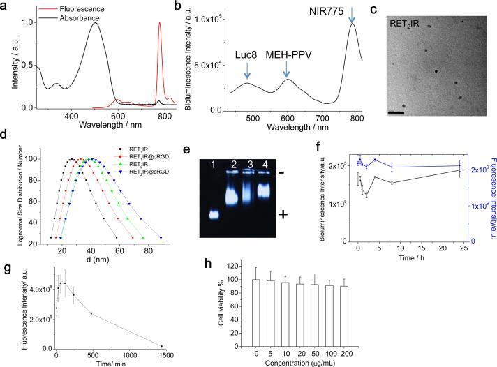 https://cdn.ncbi.nlm.nih.gov/pmc/blobs/e926/3527090/63b340953af2/nihms-425653-f0002.jpg