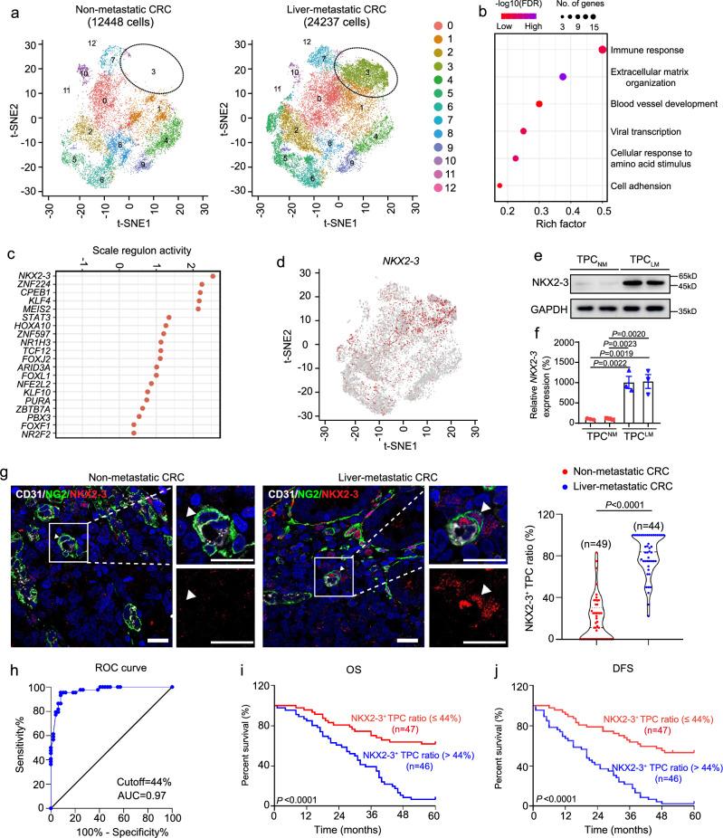https://cdn.ncbi.nlm.nih.gov/pmc/blobs/e928/12318036/254809f7ee0d/41467_2025_62475_Fig2_HTML.jpg