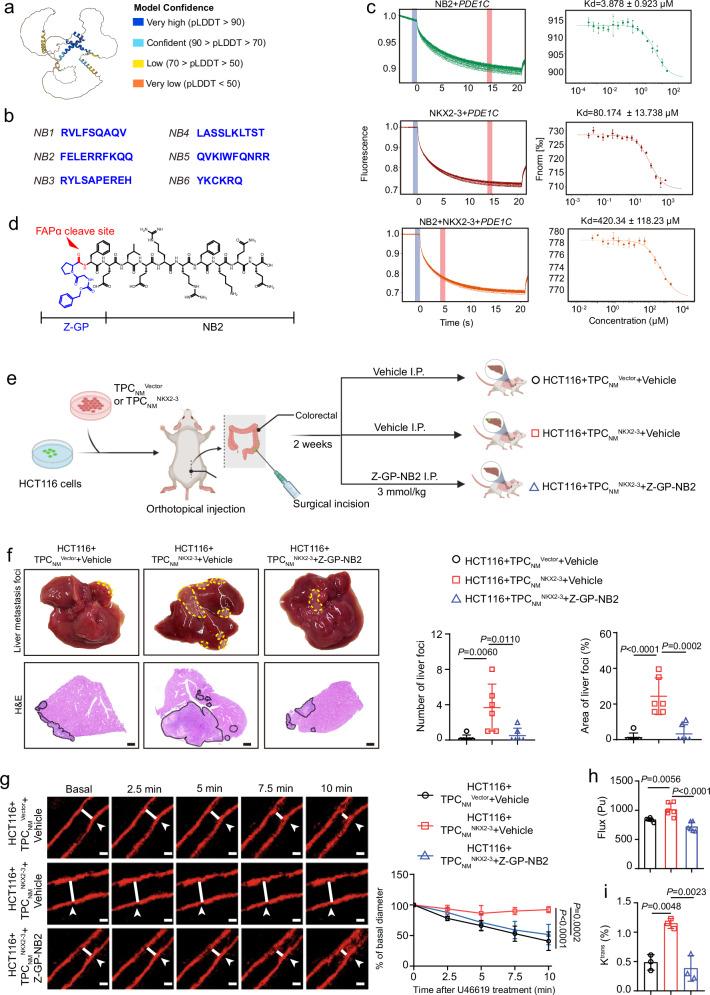 https://cdn.ncbi.nlm.nih.gov/pmc/blobs/e928/12318036/67307af7be2b/41467_2025_62475_Fig7_HTML.jpg