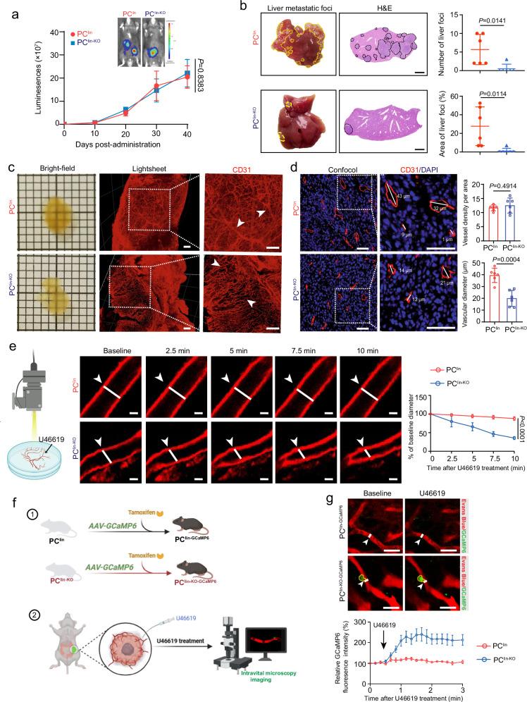 https://cdn.ncbi.nlm.nih.gov/pmc/blobs/e928/12318036/6fd47765d382/41467_2025_62475_Fig4_HTML.jpg