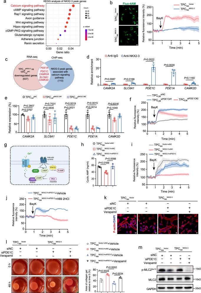 https://cdn.ncbi.nlm.nih.gov/pmc/blobs/e928/12318036/760c496f96fd/41467_2025_62475_Fig3_HTML.jpg