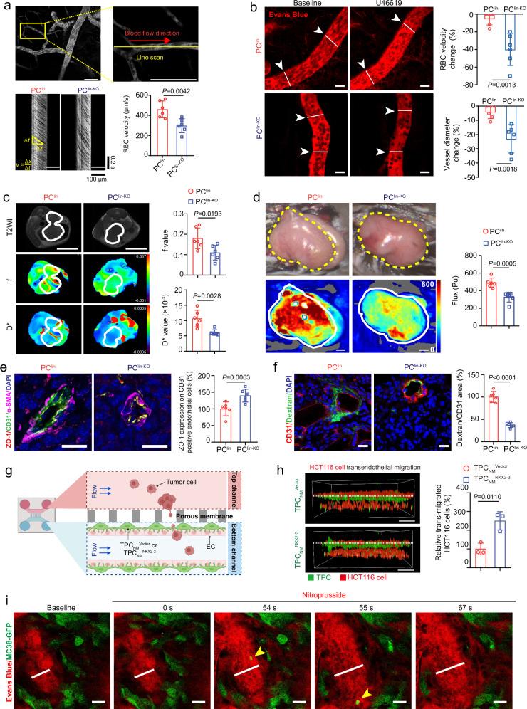 https://cdn.ncbi.nlm.nih.gov/pmc/blobs/e928/12318036/89eef6bbb73f/41467_2025_62475_Fig5_HTML.jpg