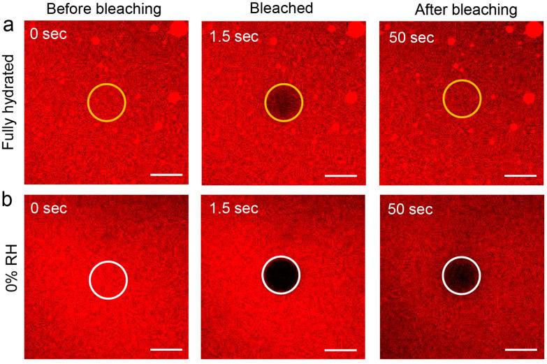 https://cdn.ncbi.nlm.nih.gov/pmc/blobs/e928/8301980/d80e7dcfc218/biosensors-11-00241-g001.jpg