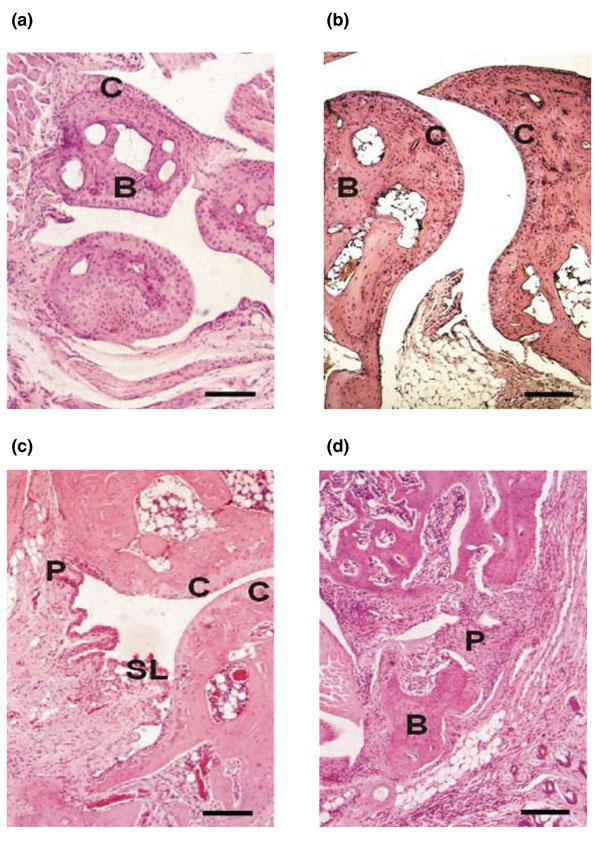 https://cdn.ncbi.nlm.nih.gov/pmc/blobs/e929/546278/a43fe92b5d76/ar1205-2.jpg