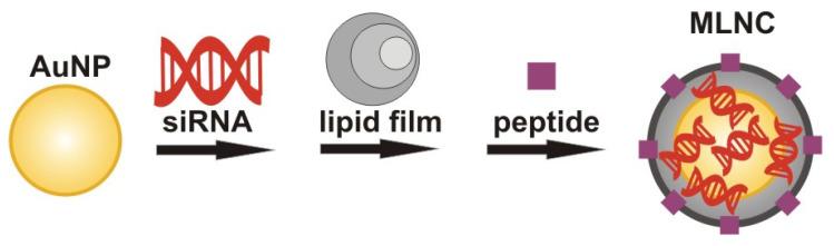 https://cdn.ncbi.nlm.nih.gov/pmc/blobs/e929/8624966/8f4b2df61afb/nanomaterials-11-02775-g001.jpg