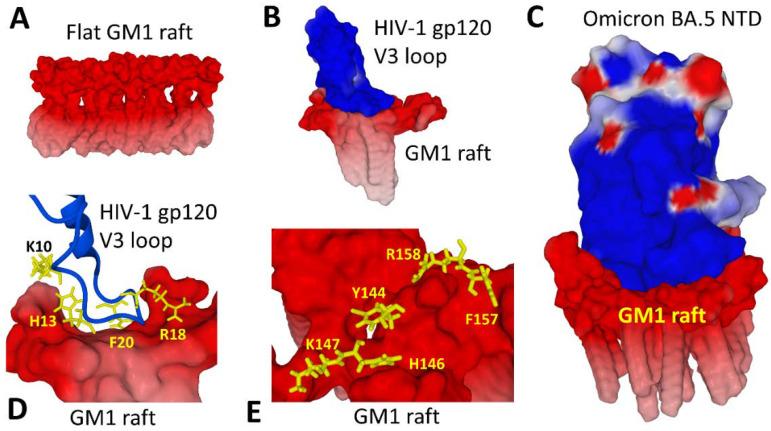 https://cdn.ncbi.nlm.nih.gov/pmc/blobs/e92b/9964723/31c181a42db4/viruses-15-00284-g004.jpg