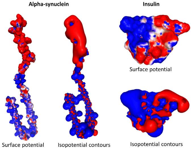 https://cdn.ncbi.nlm.nih.gov/pmc/blobs/e92b/9964723/c59b18ffa445/viruses-15-00284-g002.jpg