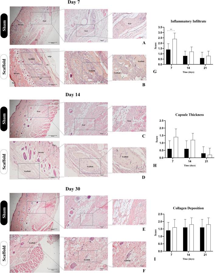 https://cdn.ncbi.nlm.nih.gov/pmc/blobs/e92c/12213565/89475038f027/fbioe-13-1606615-g009.jpg