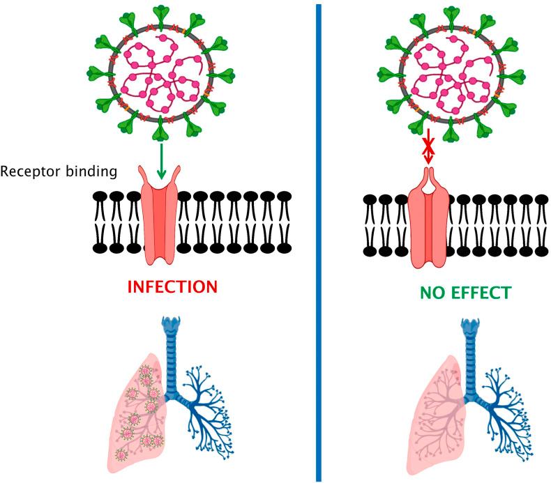 https://cdn.ncbi.nlm.nih.gov/pmc/blobs/e92c/7764473/c26b3e8854db/gr2_lrg.jpg