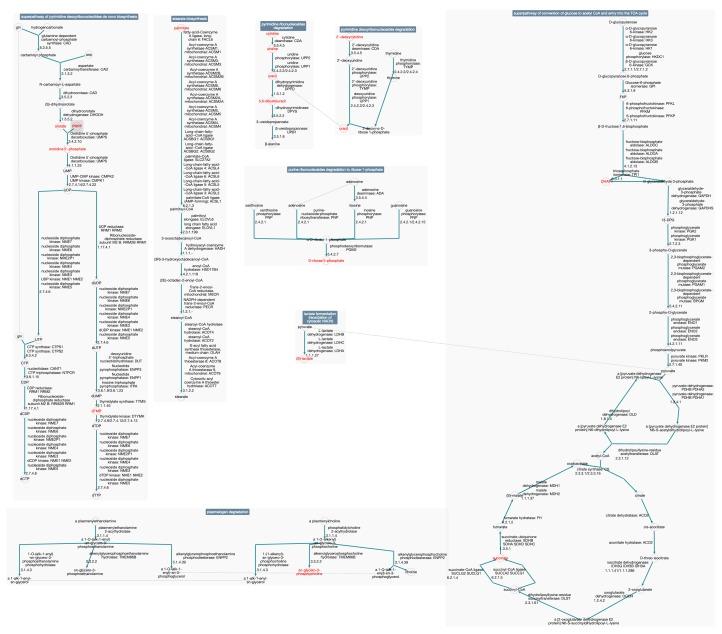 https://cdn.ncbi.nlm.nih.gov/pmc/blobs/e92d/6571860/8a656ffea7c3/metabolites-09-00088-g002.jpg
