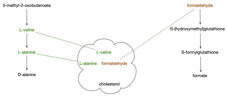 https://cdn.ncbi.nlm.nih.gov/pmc/blobs/e92d/6571860/c63ab711bdf9/metabolites-09-00088-g001.jpg