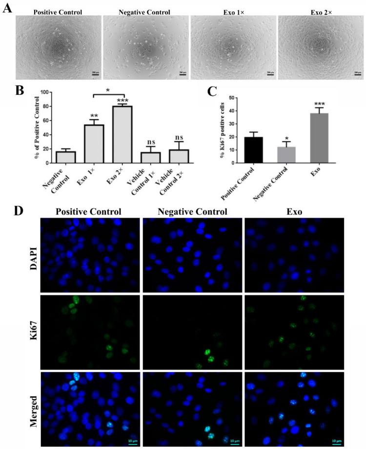 https://cdn.ncbi.nlm.nih.gov/pmc/blobs/e92f/8228793/64734a5d7276/ijms-22-06239-g003.jpg