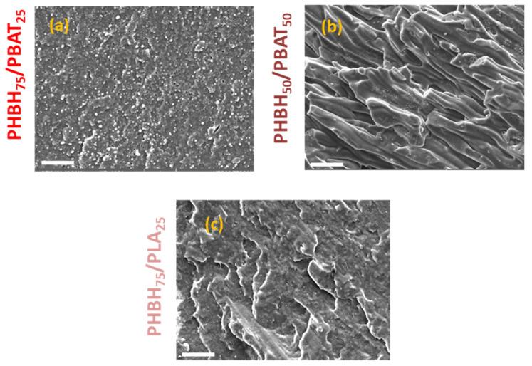 https://cdn.ncbi.nlm.nih.gov/pmc/blobs/e930/11207277/6a4c8c3cbc3a/polymers-16-01699-g007.jpg