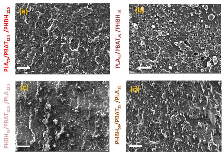 https://cdn.ncbi.nlm.nih.gov/pmc/blobs/e930/11207277/7cd9f388144f/polymers-16-01699-g008.jpg
