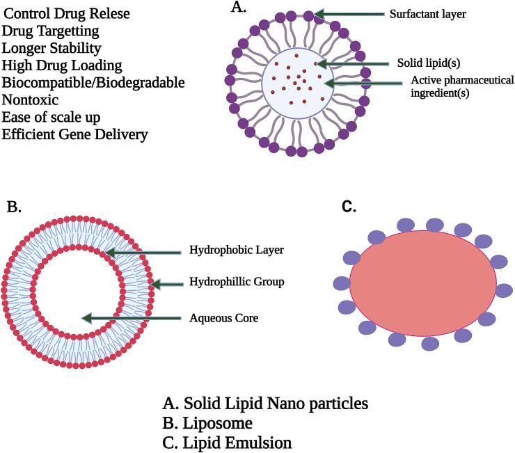 https://cdn.ncbi.nlm.nih.gov/pmc/blobs/e930/9160046/8b266d68652d/gr1.jpg