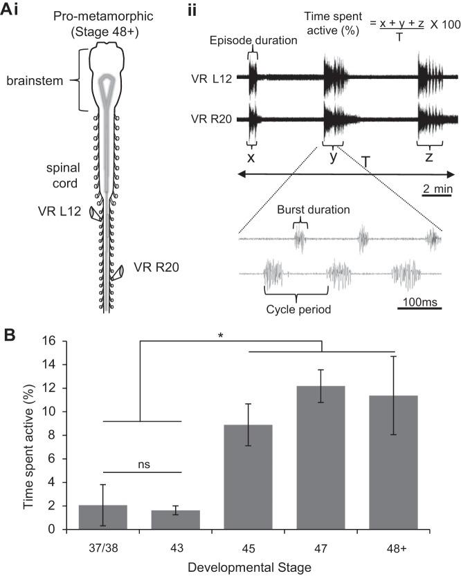 https://cdn.ncbi.nlm.nih.gov/pmc/blobs/e933/4808108/1e93f49d7c98/z9k0041635430003.jpg
