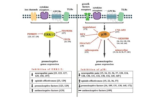 https://cdn.ncbi.nlm.nih.gov/pmc/blobs/e933/5427777/440e0074104f/CMC-23-2908_F3.jpg