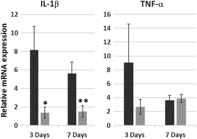 https://cdn.ncbi.nlm.nih.gov/pmc/blobs/e933/7757732/c18e9cd68925/biores.2020.0037_figure4.jpg