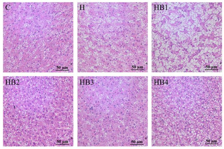 https://cdn.ncbi.nlm.nih.gov/pmc/blobs/e939/11047455/53f676330894/animals-14-01239-g010.jpg