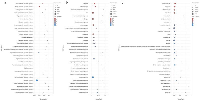 https://cdn.ncbi.nlm.nih.gov/pmc/blobs/e939/11047455/a445456110c3/animals-14-01239-g018.jpg