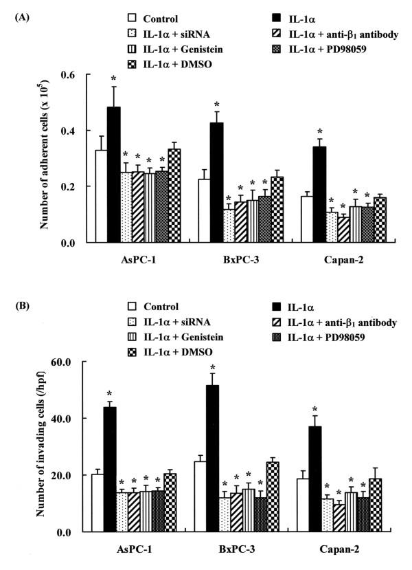 https://cdn.ncbi.nlm.nih.gov/pmc/blobs/e93b/1266395/0d346a50f2e6/1476-4598-4-37-4.jpg