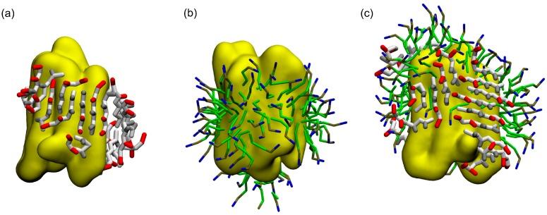 https://cdn.ncbi.nlm.nih.gov/pmc/blobs/e93b/6163580/884e511cf9fa/ijms-19-02772-g002.jpg