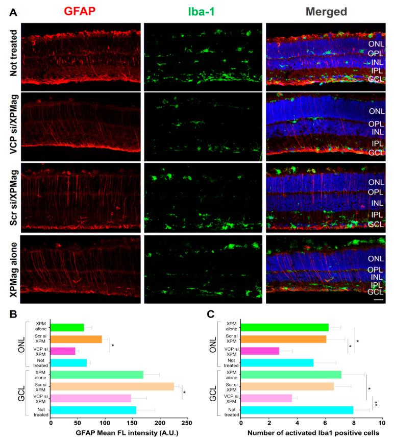 https://cdn.ncbi.nlm.nih.gov/pmc/blobs/e93b/7914601/d094adc9813d/pharmaceutics-13-00225-g006.jpg