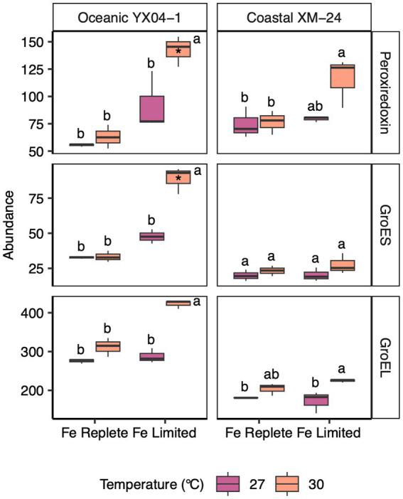 https://cdn.ncbi.nlm.nih.gov/pmc/blobs/e93c/10912551/c28702f5c5d8/fmicb-15-1323499-g004.jpg