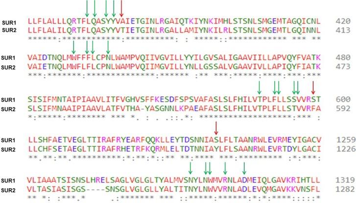 https://cdn.ncbi.nlm.nih.gov/pmc/blobs/e93d/6540933/1315d2af02cc/fphar-10-00598-g007.jpg