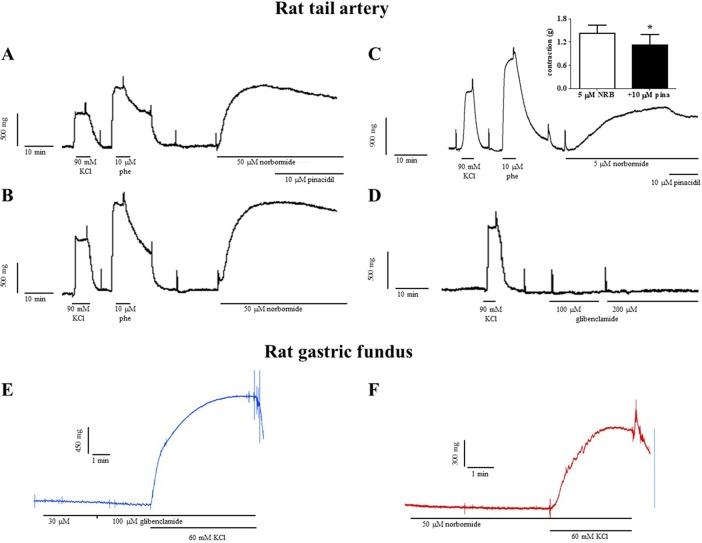 https://cdn.ncbi.nlm.nih.gov/pmc/blobs/e93d/6540933/c1fdfcba6037/fphar-10-00598-g005.jpg