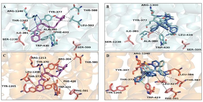 https://cdn.ncbi.nlm.nih.gov/pmc/blobs/e93d/6540933/ebd767a7d8c3/fphar-10-00598-g006.jpg