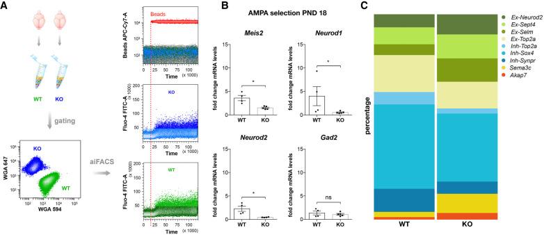 https://cdn.ncbi.nlm.nih.gov/pmc/blobs/e93e/7605246/6e2c17f83307/1633f04.jpg