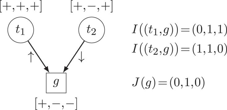 https://cdn.ncbi.nlm.nih.gov/pmc/blobs/e941/6326786/5ecfcc6a4167/gky1176fig1.jpg