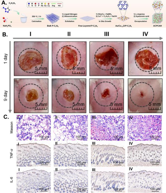 https://cdn.ncbi.nlm.nih.gov/pmc/blobs/e944/12045021/201e02ccba8f/nn5c00700_0010.jpg