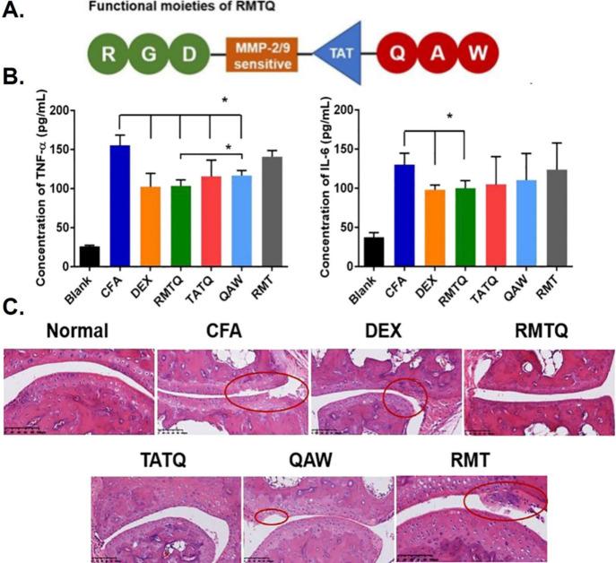 https://cdn.ncbi.nlm.nih.gov/pmc/blobs/e944/12045021/60a7b913c00c/nn5c00700_0006.jpg