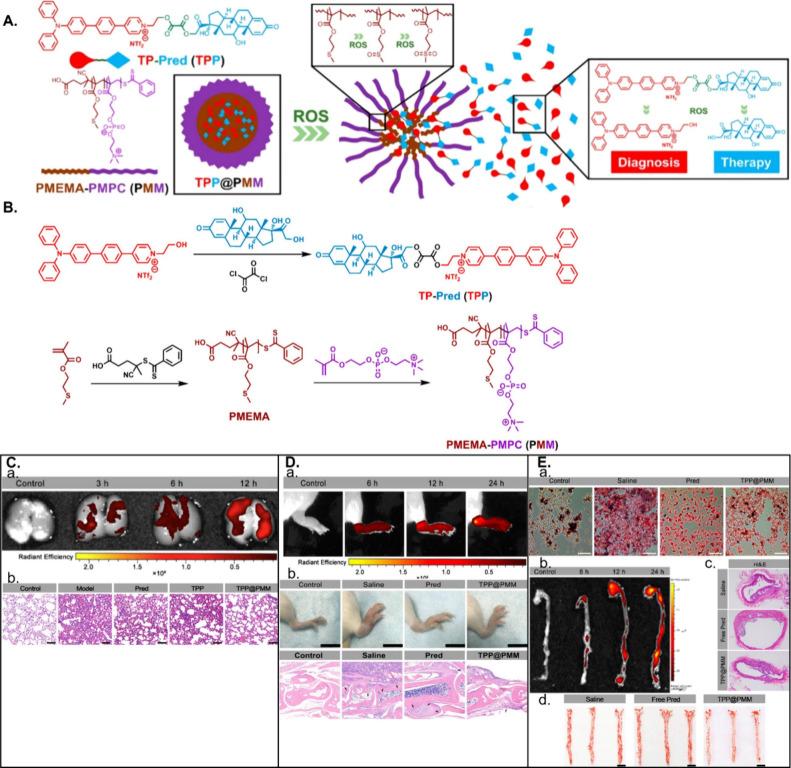 https://cdn.ncbi.nlm.nih.gov/pmc/blobs/e944/12045021/da4e61a36162/nn5c00700_0004.jpg